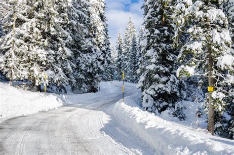 Winding Mountain Road Through A Winter Forest Stock Image Image Of