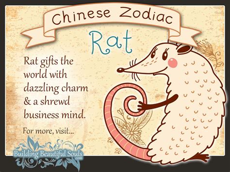 Chinese Zodiac Ratmouse Child Personality And Traits Chinese Zodiac