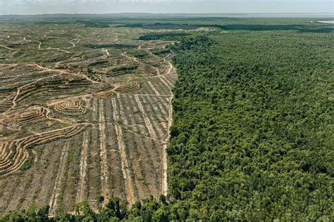 The Devastating Environmental Impact Of Human Progress Like Youve