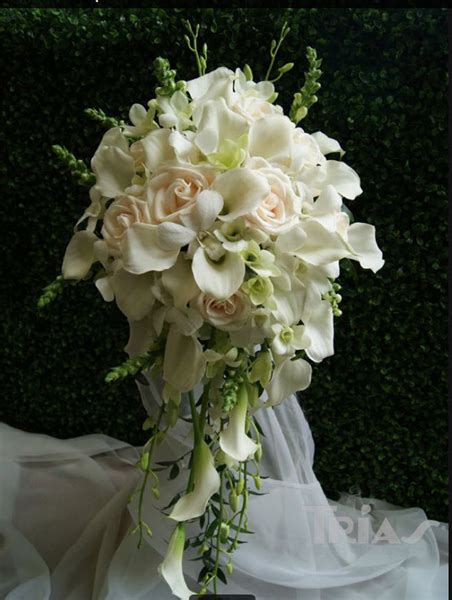 You can see how to get to berkeley florist supply co inc on our website. BIGROSE WHOLESALE WEDDING FLORIST SALE 50%OFF PACKAGES ...
