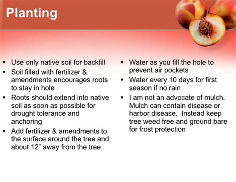 Growing Peaches In Climate Zone 5 Peach Climate Zones Climates