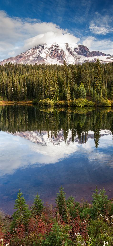 Mirror Lake Wallpaper 4k Green Trees Forest Nature 3835