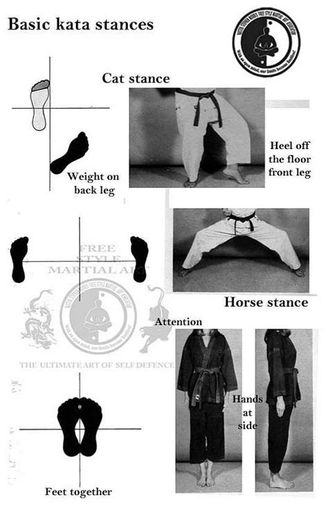 In japanese the general term is {{nihongo| ( dachi) ( 立ち ) changing to dachi when used as a suffix. free" style martial art: Basic kata stances