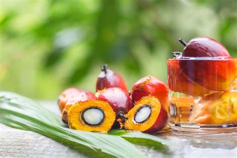 Wynalazek Szkodliwy Dla Przyrody Czym Można Go Zastąpić - Olej palmowy - wpływ na zdrowie, właściwości i zastosowanie