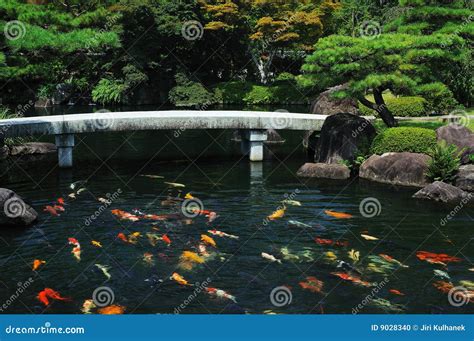 Fish Pond At Japanese Garden Stock Photo Image Of Lake Herd 9028340