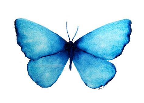 Blue Butterfly Watercolor Butterfly Painting Butterfly