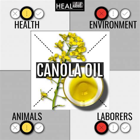 Canola Oil Side Effects Is It Vegan Gluten Free Low Fodmap