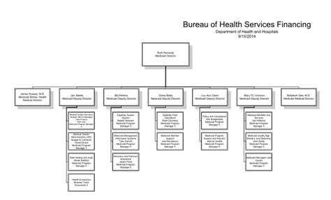 64 Typical Hospital Organizational Chart Page 2 Free To Edit