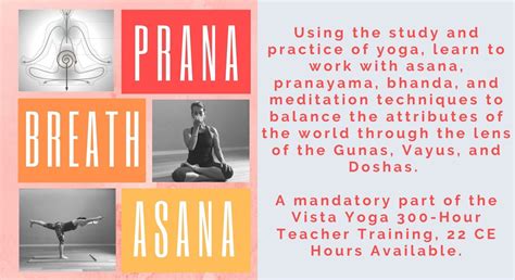 Prana Breath Asana The Energetics Of Yoga Vista Yoga
