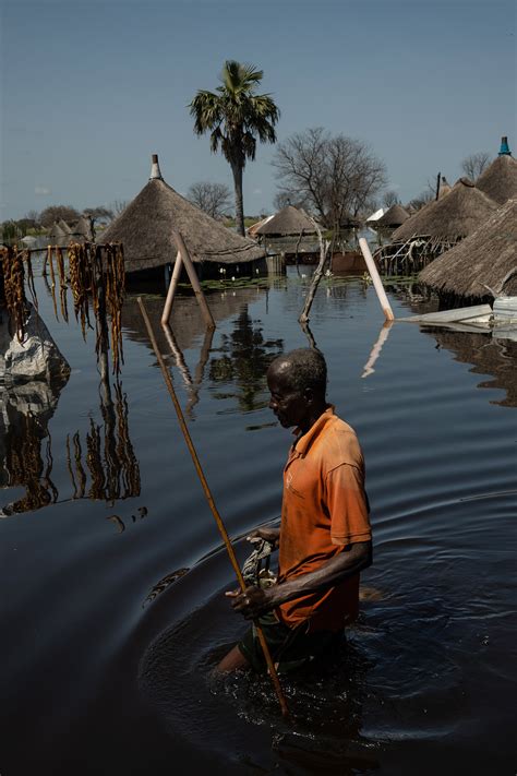 Our Changing World The Climate Crisis In Pictures The New York Times