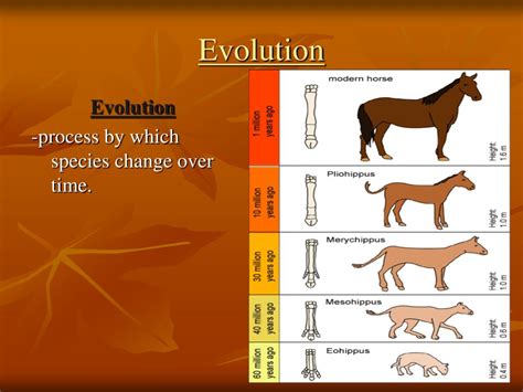 Basic Evolution Hot Sex Picture