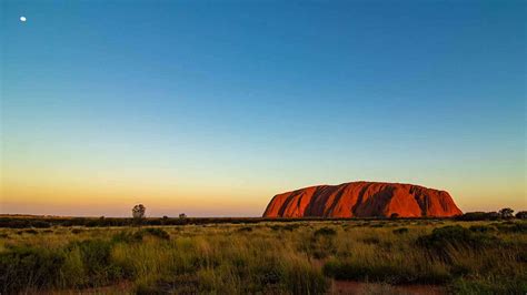 Parts of western australia have been plunged into lockdown with people only allowed to leave homes for certain reasons. 11 Curiosities of the Australian desert - Dingoos