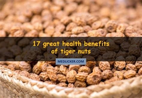 Great Benefits Of Tiger Nuts Nut Benefits Eat Healthy Nuts