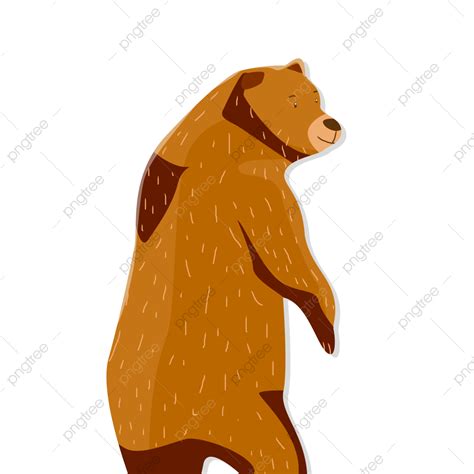 Hand Drawn Bear Png Picture Hand Drawn Cartoon Funny Cute Animal