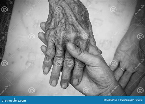 Hands Of The Old Woman Black And White Stock Photo Image Of Help