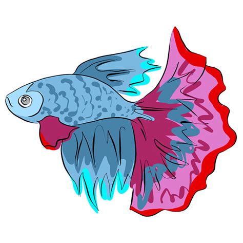 How To Draw A Betta Fish Easy Drawing Tutorial For Kids