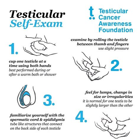 Examine Your Testicles In The Comfort Of Your Home It Could Save Your Life