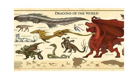 Dragon and Monster Size Comparison Charts | d20 Pub