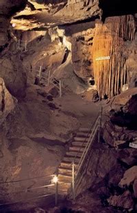 I reap the dead and there's plenty of work in eerie valley. Rockhounding West Virginia | Gator Girl Rocks