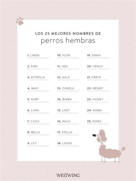 Bonitos Nombres Para Perros Que Son Tendencia En My Xxx Hot Girl