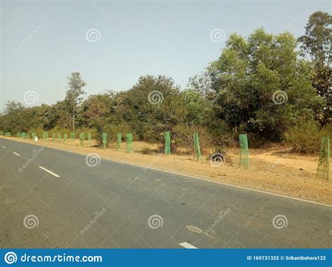 Indian National Highway Image With Sal Trees Coconut Tree Betelnut
