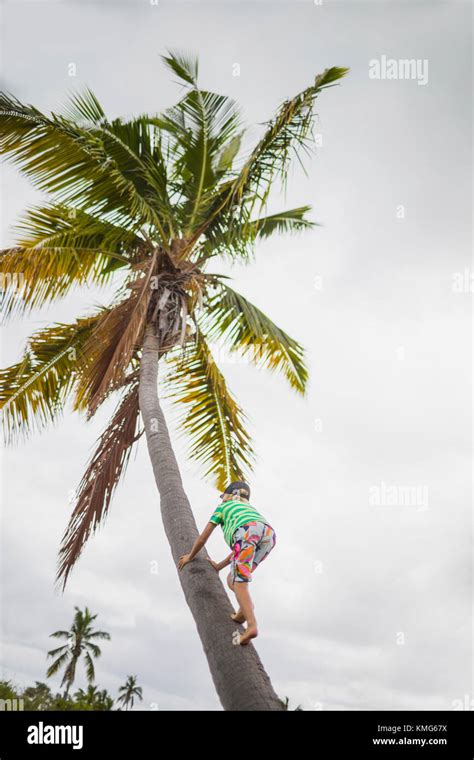 Girl Climbing A Tree Hi Res Stock Photography And Images Alamy