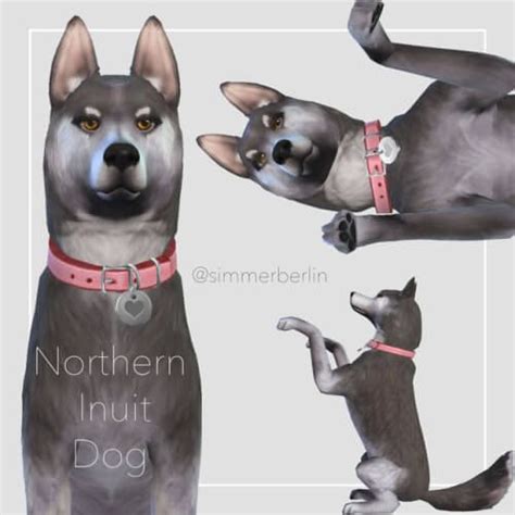 15 Pictures About Sims 4 Dog Breeds Cc Dogs Cats