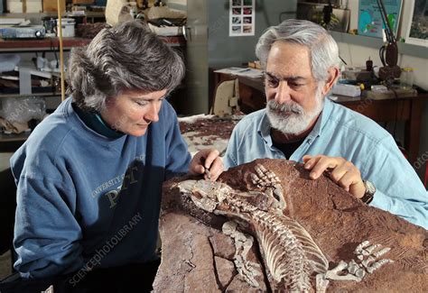 Paleontologists With Fossil Stock Image C028 7595 Science Photo
