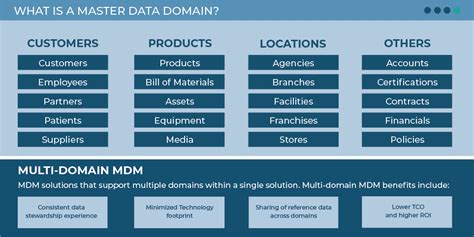 MDM 101 What Is Master Data Profisee