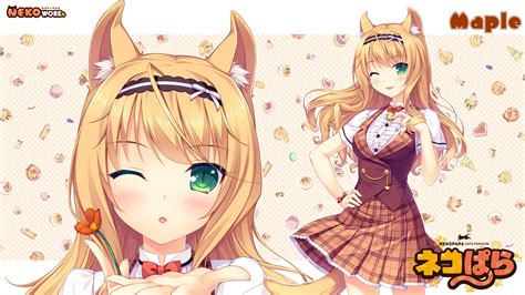 Image Maple Nekopara Vol 1 Artwork 6 Nekopara Wiki Fandom