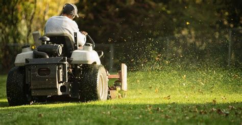 How To Find The Best Grass Cutting Service In Toronto