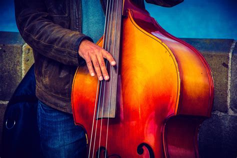 Double Bass Playing Techniques
