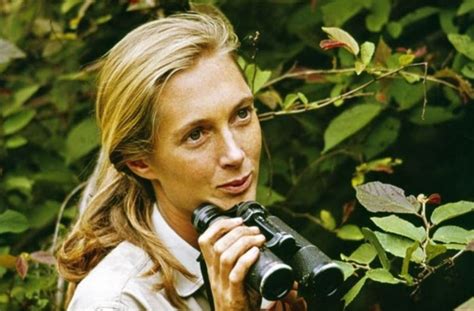 How The Pandemic Has Renewed Jane Goodalls Hopes For Conservation