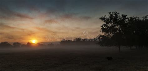 Morning In The Country Meadow Or Pasture With Sunrise Stock Photo