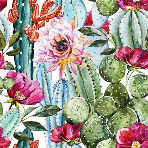 Watercolor Cactus Aesthetic Wallpapers Wallpaper Cave