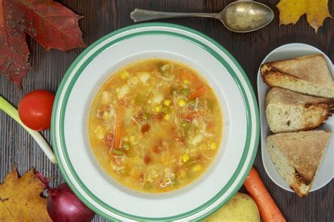 Vegetable Soup With Fresh Vegetables And Autumn Theme Stock Image