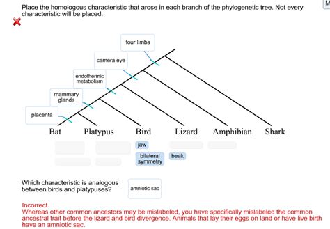 Solved: Place The Homologous Characteristic That Arose In ...