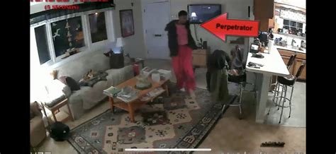 Pervert Caught Cameras Wyze Forum