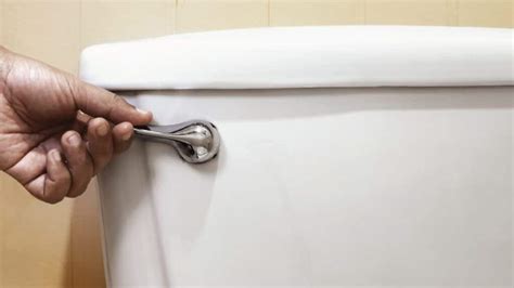 Popular Types Of Toilet Flush Systems