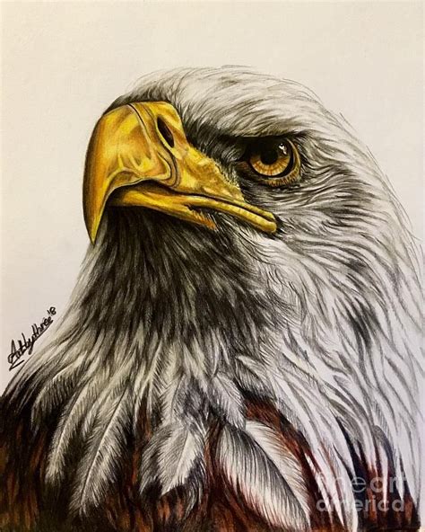 Bald Eagle By Art By Three Sarah Rebekah Rachel White Bald Eagle Art Eagle Drawing Eagle Art