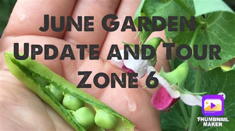 June Garden Tour And Update Zone 6 Youtube