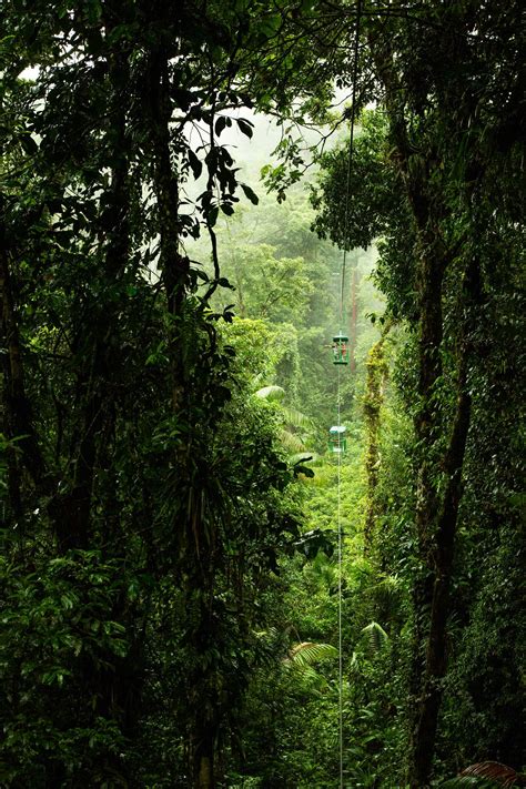 Natura ecological park is located near arenal volcano national park in costa rica with beautiful views. Jaco Beach Costa Rica | Activities in Jaco Beach Costa Rica