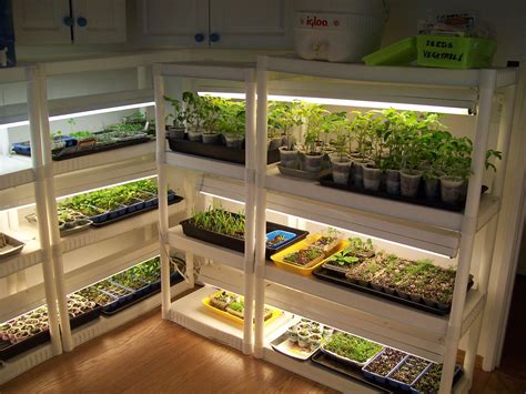 This is a nice indoor seed starter project that can. Herbs that are suitable for the greenhouse | Indoor ...