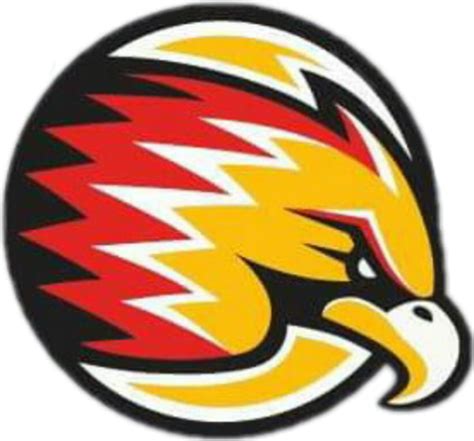 We did not find results for: Escudo de Halcones dorados O11ce
