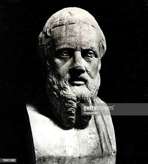 Bust Of Herodotus Photos And Premium High Res Pictures Getty Images