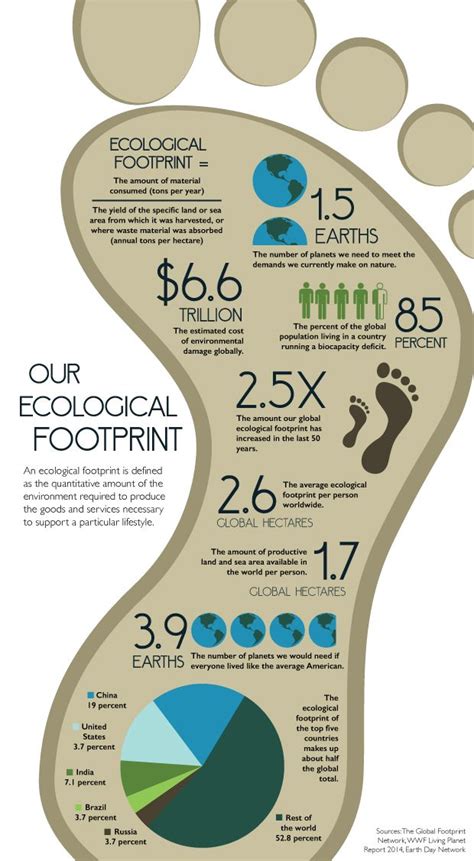 Complete each of the following categories for a typical day in your home. What is an ecological footprint? | Ecological footprint ...