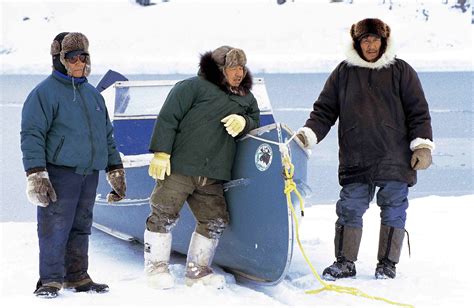 Country Food Inuit Food In Canada The Canadian Encyclopedia