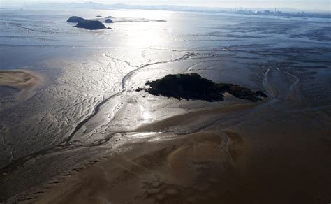 S Korean Tidal Flats Listed As Unesco World Heritage