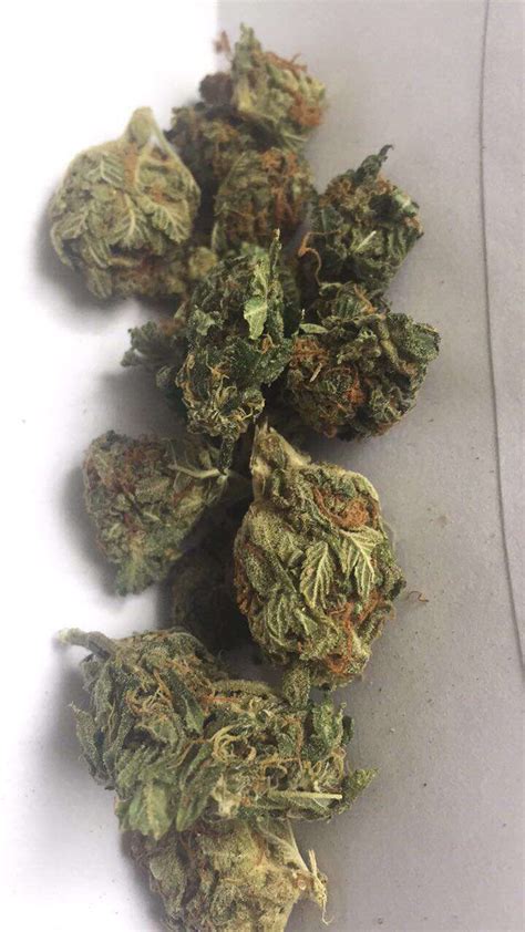 We did not find results for: Early stages of flowering! help a new grower ...