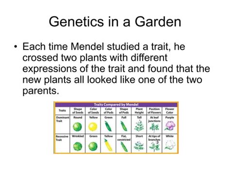 Genetics And Heredity